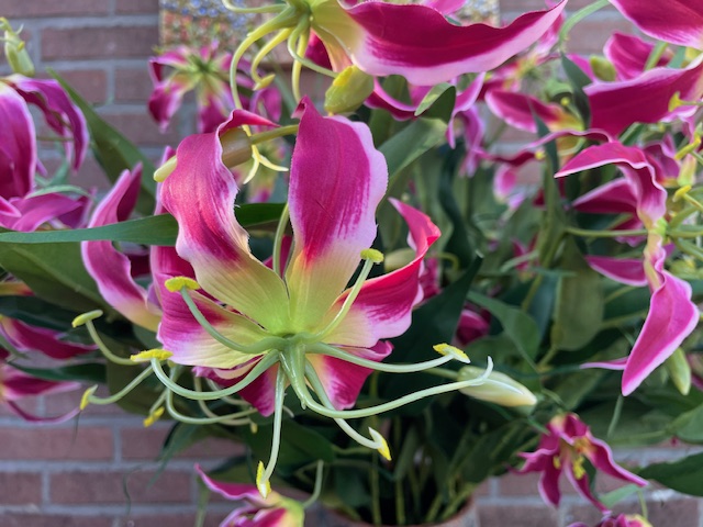 Kunstbloem/kunsttak gloriosa 77 cm