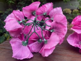 Kunstbloemen zonder steel, hortensia roze, diameter 16 cm