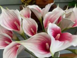 Kunstbloemen calla roze/creme hoogte 57 cm