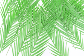 Kunstbladeren, kunst palmblad, palmbladeren 36x12 cm