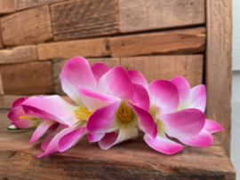 Kunstbloemen fresia roze/creme steel 14 cm, 6 bloem