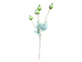 Kunsttak Papaver Bollen  – Naturel Groen 64 cm