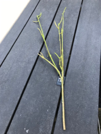 Groene kunsttakken, 55 cm hoog met kunstbloemen