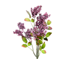 Kunsttak Sering lila in knop - Kunstbloem op steel 60 cm