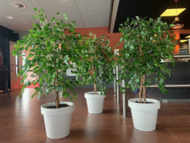 Kunstplanten staand in een witte pot