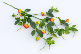 Grote hoge kunsttakken van de lampion plant groen/rood 110 cm