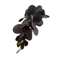 Kunstbloemen fresia zwart, steel 14 cm, 6 bloemen