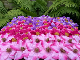 Kunstbloemen clematis roze, 12 cm