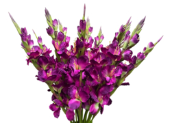 Kunstbloemen kunsttak gladiool paars hoogte 84 cm