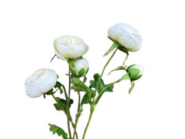 Kunstbloem Witte Ranonkel op steel 62 cm