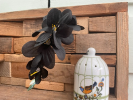 Kunstbloemen fresia zwart, steel 14 cm, 6 bloemen