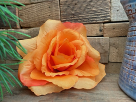 Kunstbloemen Franse rozen oranje, diameter 12 cm