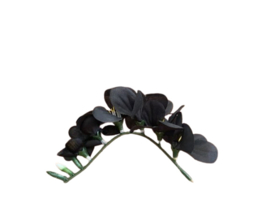 Kunstbloemen fresia zwart, steel 14 cm, 6 bloemen