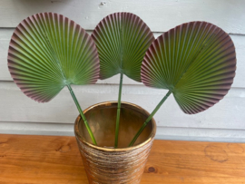 Kunstpalm blad, bladeren van de palmboom, rubber 17x17.5 cm