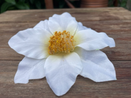 Kunstbloemen clematis wit diameter 12 cm