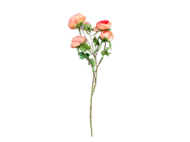 Kunstbloem Rood / Roze Ranonkel op steel 62 cm