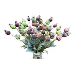 Kunsttak Papaver Bollen – Oranje/ Bruin 64 cm