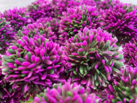 Kunstbloem allium "sierui" 34 cm paars