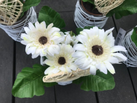 bruiloft decoratie, tafelversiering gerbera in een witte glazen pot