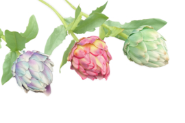 Kunstbloemen artisjokken 3 kleuren hoogte 58 cm