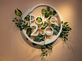Logo met kunstbladeren/kunsttakken Poke2Go Amersfoort