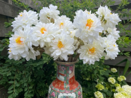 Kunstbloemen dahlia creme wit 3 bloemen per tak, hoogte 62 cm