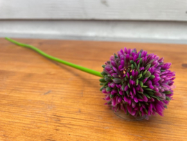 Kunstbloem allium "sierui" 34 cm paars