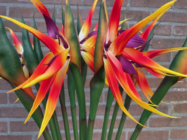 Kunstbloemen strelitzia met brede steel hoogte 94 cm