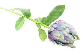 Kunstbloemen artisjokken 3 kleuren hoogte 58 cm