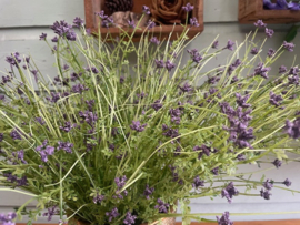Kunstbloemen verberna "ijzerhard" boeket paars hoogte 47 cm