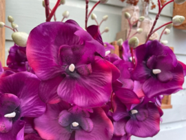 Kunstbloemen orchidee tak paars hoogte 72 cm