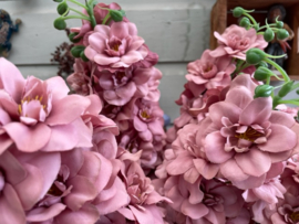 Zijde kunstbloemen delphinium oud roze hoogte 80 cm