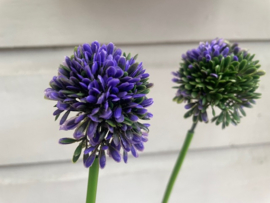 Kunstbloem allium "sierui" paars/groen hoogte 34 cm