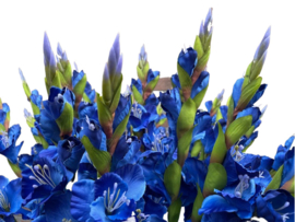 Kunstbloemen, kunsttak blauwe gladiool hoogte 84 cm