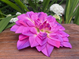 Kunstbloemen zonder steel dahlia paars, diameter 22 cm
