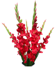 Kunstbloemen kunsttakken rode gladiool hoogte 108 cm