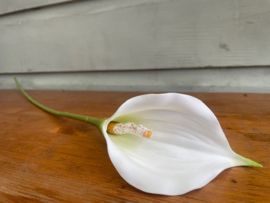 Kunstbloemen calla wit hoogte 57 cm