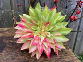 Kunstbloemen dahlia groen/roze diameter 20 cm