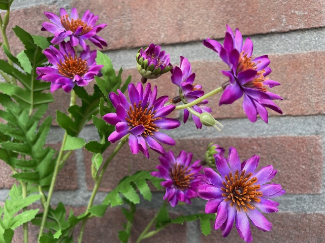 Kunstbloemen madelief takken paars, hoogte 87 cm