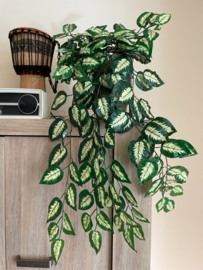 Kunstplant, hangplant dieffenbachia