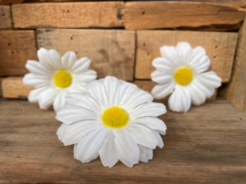 Kunstbloemen margriet met wit hart, diameter 5 cm