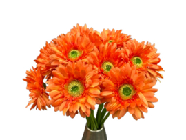 Kunstbloem oranje Gerbera op steel 50 cm