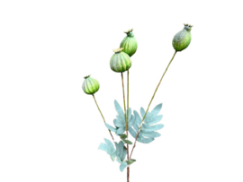 Kunsttak Papaver Bollen  – Naturel Groen 64 cm
