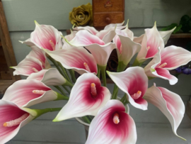 Kunstbloemen calla roze/creme hoogte 57 cm