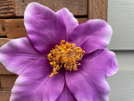 Kunstbloemen clematis paars diameter 12 cm