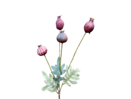 Kunsttak Papaver Bollen – Antiek Paars 64 cm