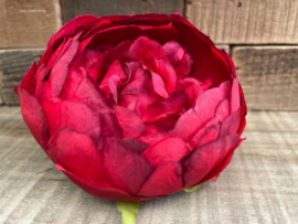 Pioenrozen rood diameter 10 cm