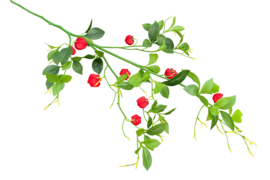 Grote kunsttakken van de lampionplant rood hoogte 110 cm