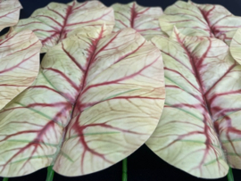 Kunstbladeren met brede nerf lichtgroen/rood