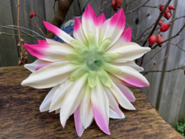 Kunstbloemen dahlia creme/roze diameter 20 cm